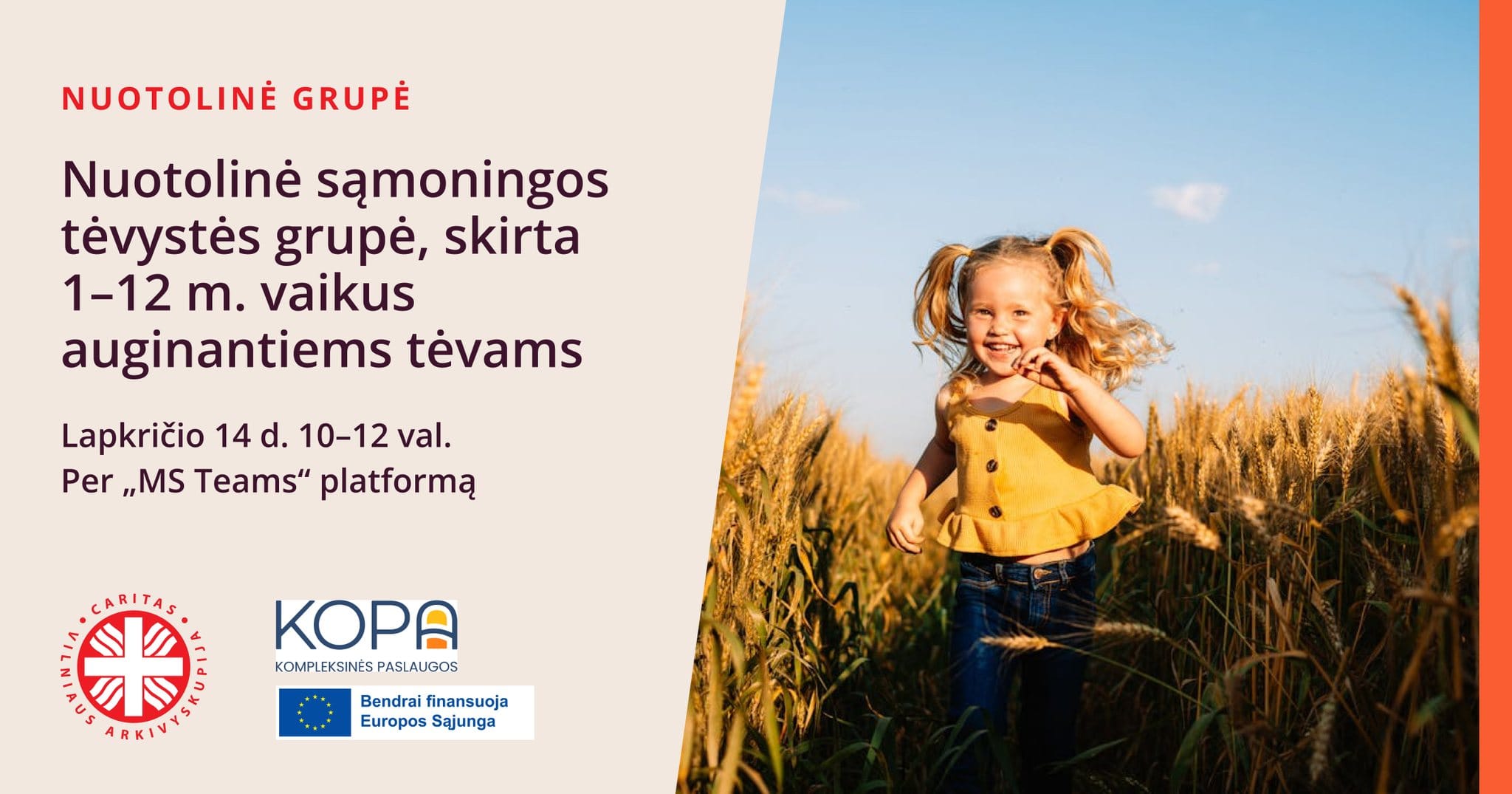 Nuotolinė sąmoningos tėvystės grupė, skirta 1-12 m. vaikus auginantiems tėvams