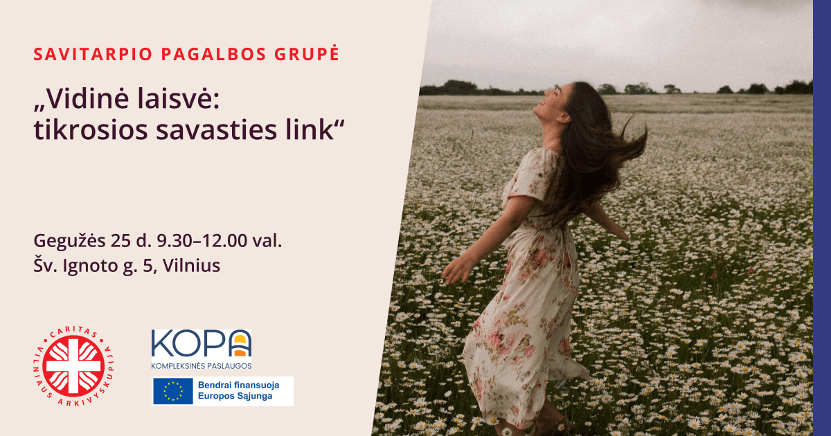 Vidine-laisve-tikrosios-savasties-link